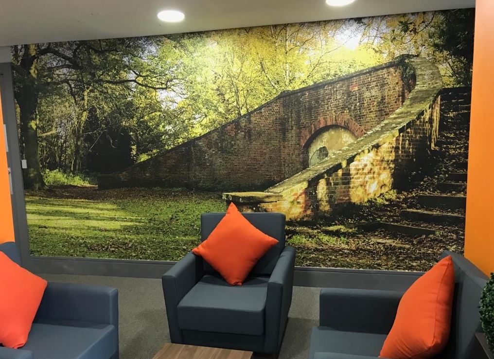Window and Wall Graphics - Image 12